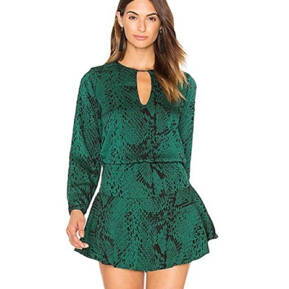 Karina Grimaldi • Verde Pillar mini dress